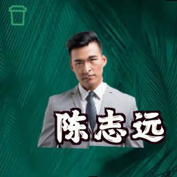 陈志远